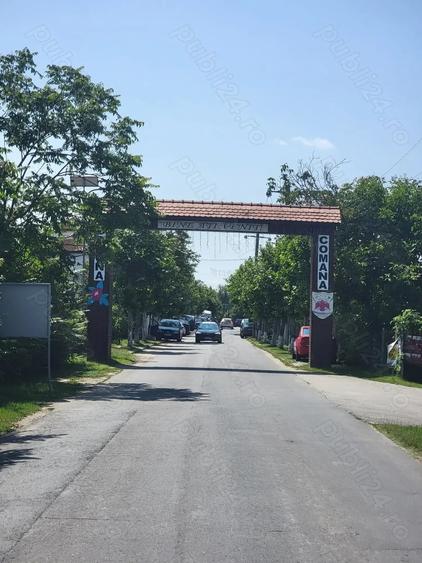 Teren de 250000 mp, în Comana