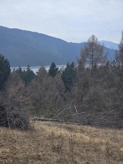 Teren de 2000 mp, în Hangu
