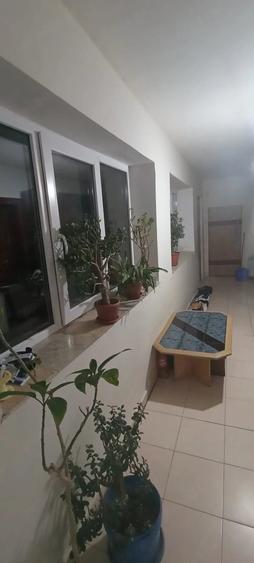 Casă cu 2 camere cu Teren 10 Mp în Ceica