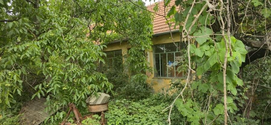 Casă cu 3 camere în Central