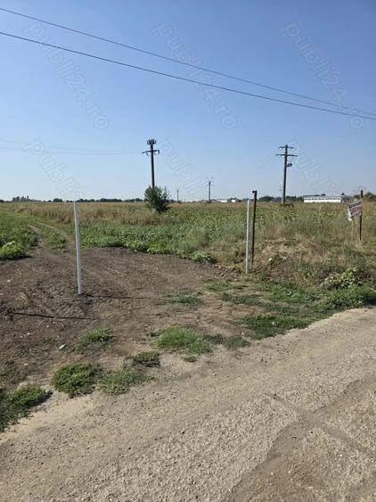 Teren intravilan in Crevedia cu utilitati 2000mp - 5