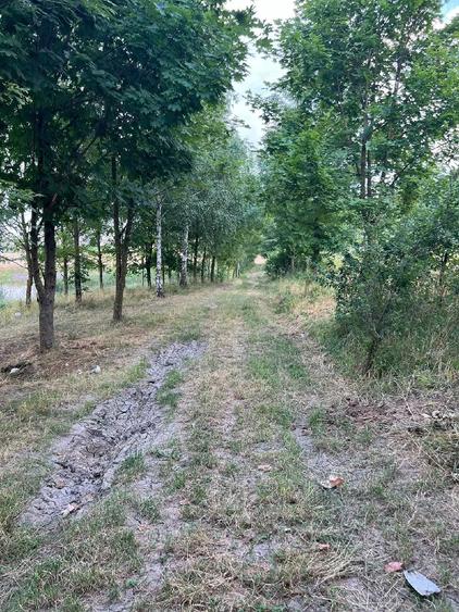Casă cu Teren 5000 Mp în Central