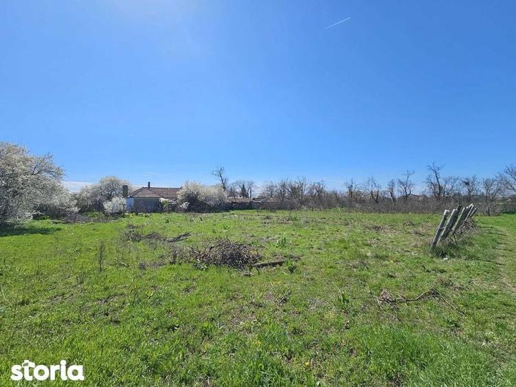 Teren de 2000 mp, în Topraisar