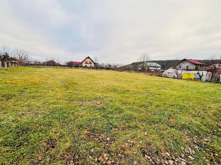 Teren Construcții intravilan de 1227 mp, în Șcheia