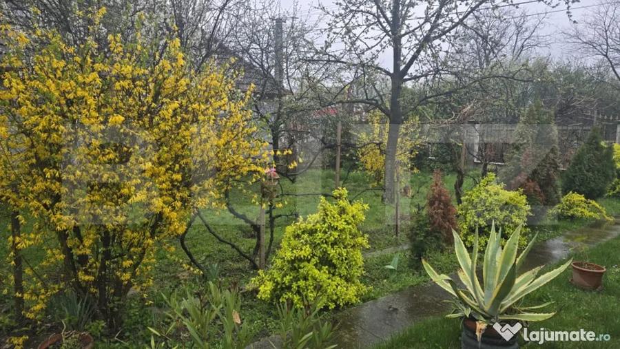 Casă cu 3 camere cu Teren 1427 Mp în Livada