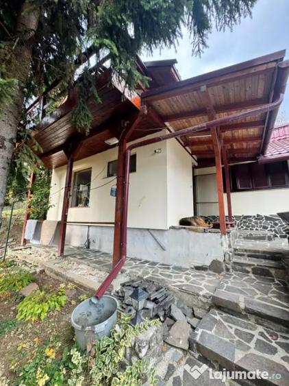 Casă cu 4 camere cu Teren 1527 Mp în Tăuții de Sus