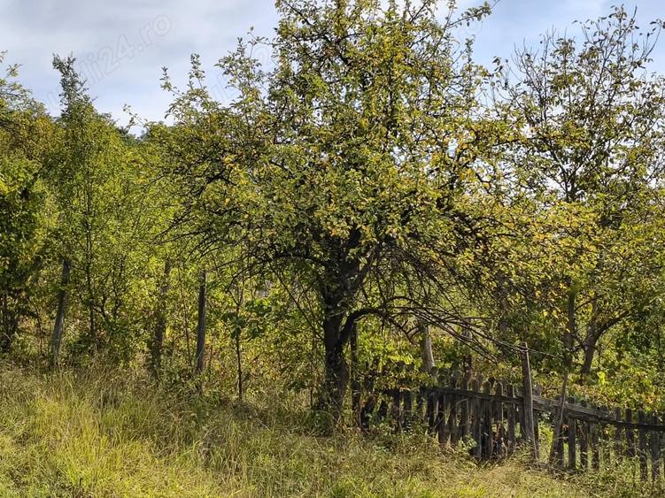 Teren de 2050 mp, în Livadea