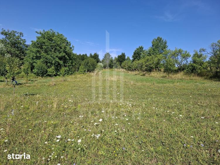 Teren de 650 mp, în Sadu