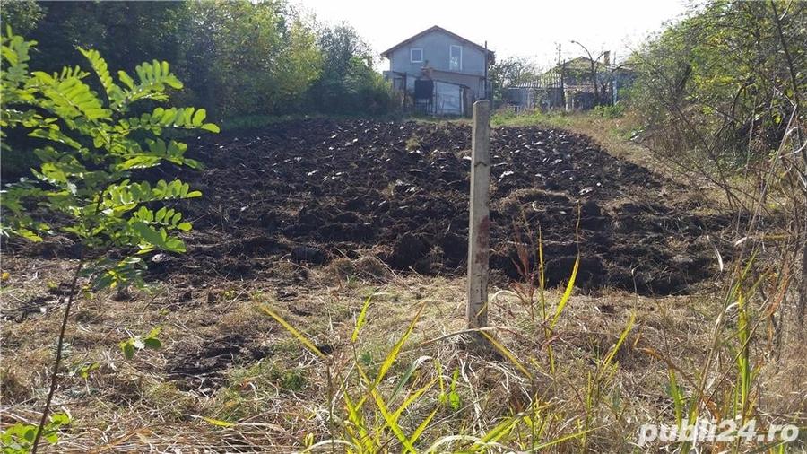 Teren de 1000 mp, în Pasărea