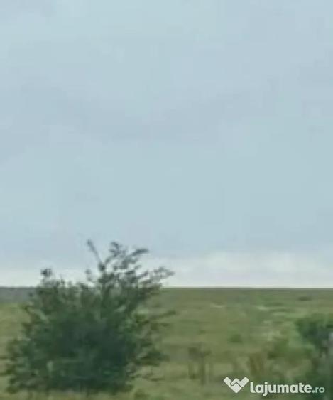 Teren în Coșoveni