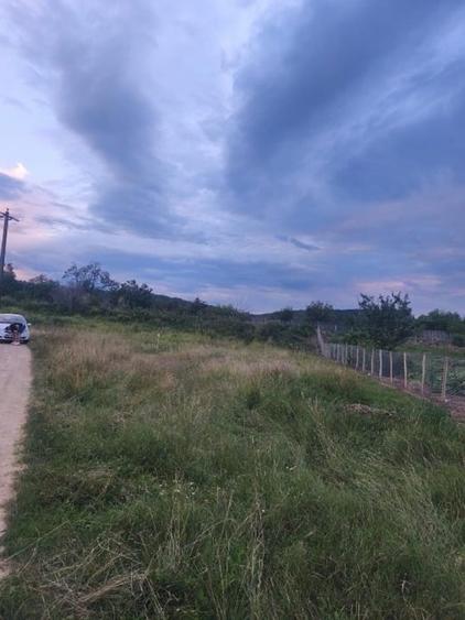 Teren Construcții intravilan de 1000 mp, în Pianu