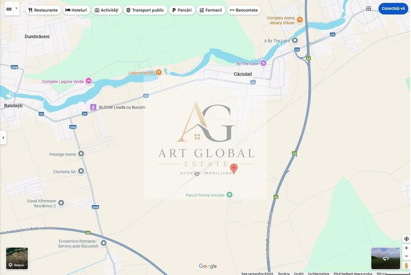 Teren Construcții intravilan de 65600 mp, în Căciulați