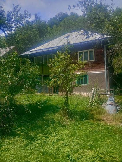 Vand casa alba sohodol - 5