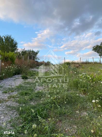 Teren de 1357 mp, în Central