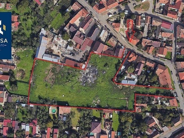 Teren Construcții intravilan de 11047 mp, în Alfa