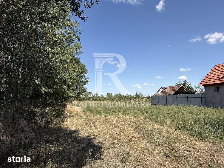 Teren de vanzare | 2600 mp | Gurbediu | Bihor - 2