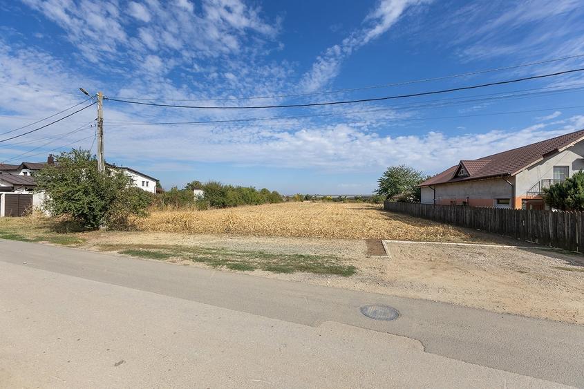 Teren Construcții intravilan de 8797 mp, în Căciulați