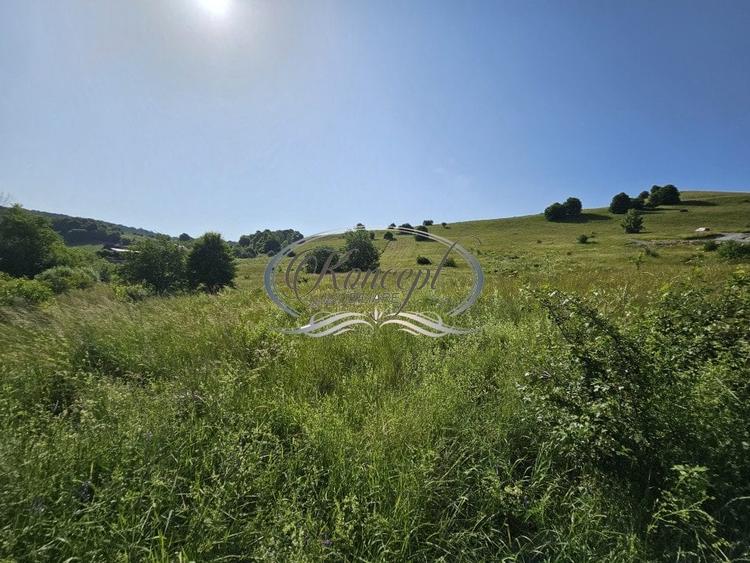 Teren Construcții intravilan de 2000 mp, în Sălicea