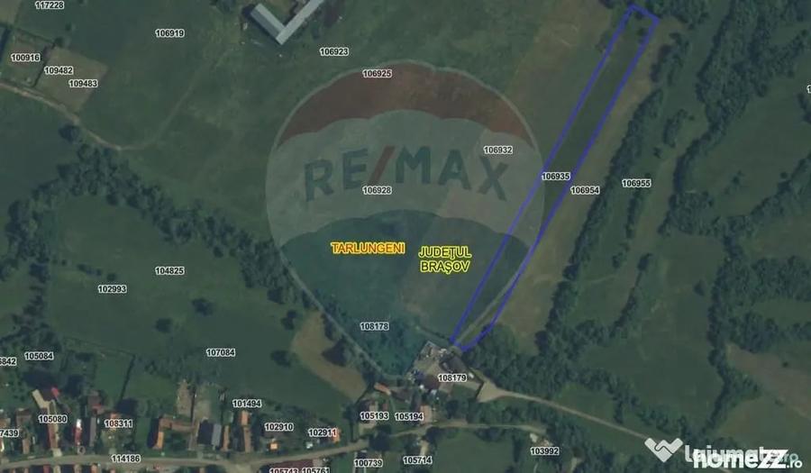 Teren de 5800 mp, în Purcăreni