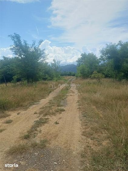 Teren de 1488 mp, în Central