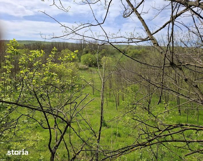 Teren de 3478 mp, în Podenii Noi
