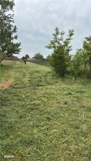 Casă cu 2 camere cu Teren 2297 Mp în Oșorhei