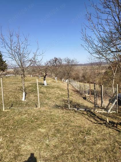 Teren de 1170 mp, în Central