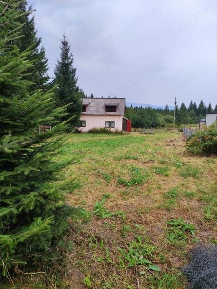 Teren de 800 mp, în Beliș