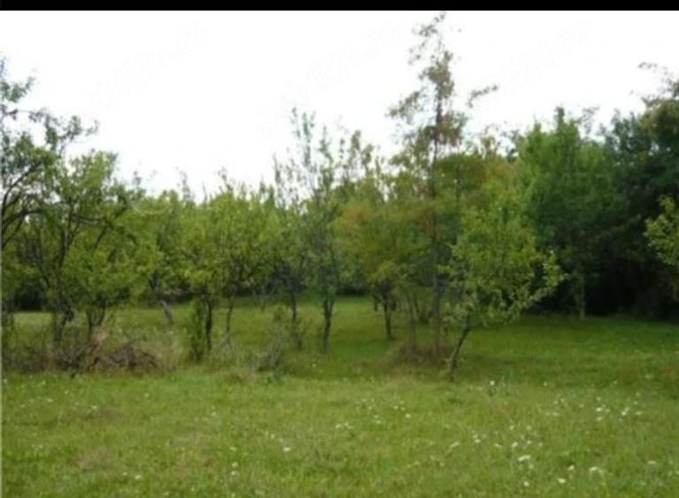 Teren de 3550 mp, în Teișani