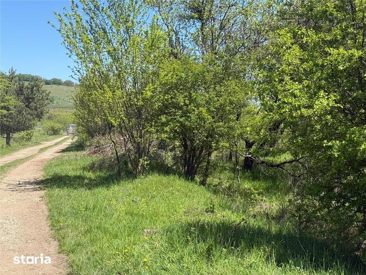 Teren de 2717 mp, în Sânpetru