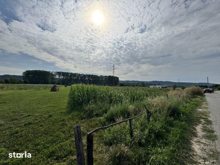 Teren de 7500 mp, în Mihăești