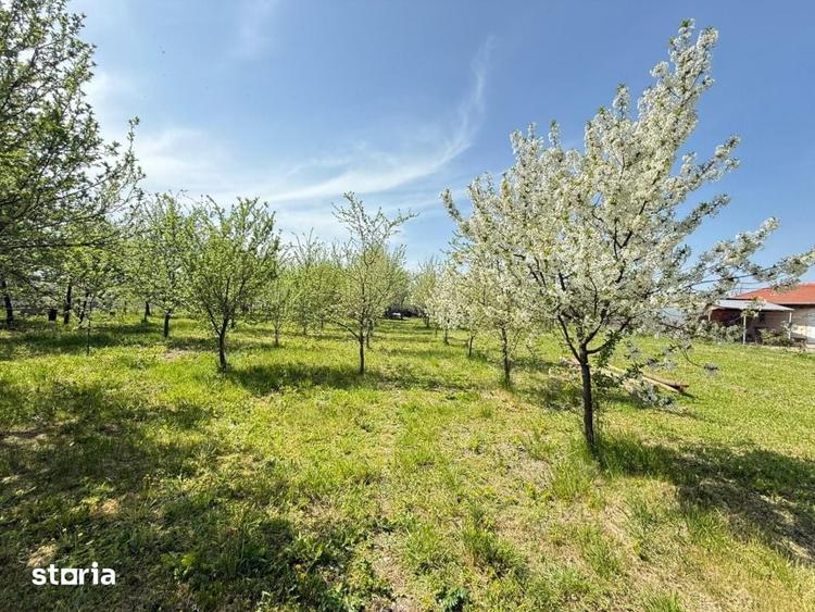 Teren de 1190 mp, în Chevereșu Mare