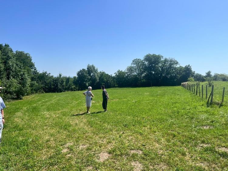 Teren de 4080 mp, în Văratec
