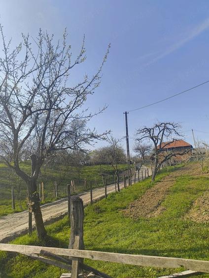 Casă cu 2 camere cu Teren 3536 Mp în Brătești