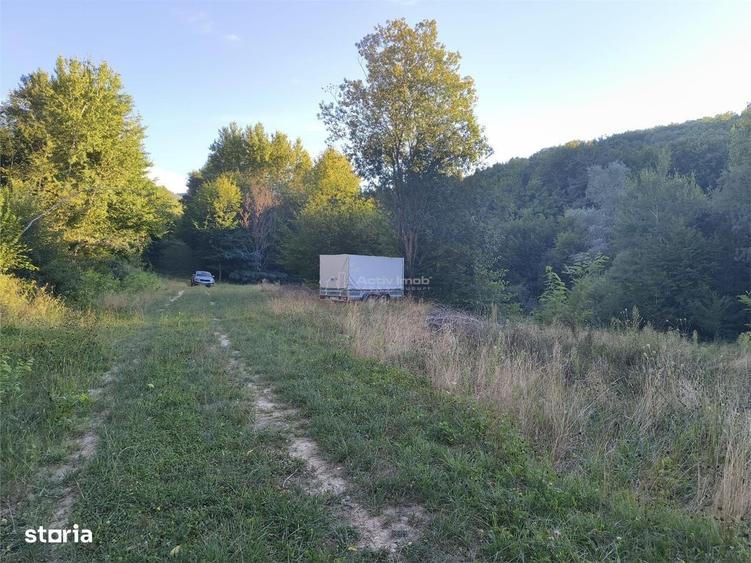 Teren intravilan de vanzare in padure Cisnadioara - 6