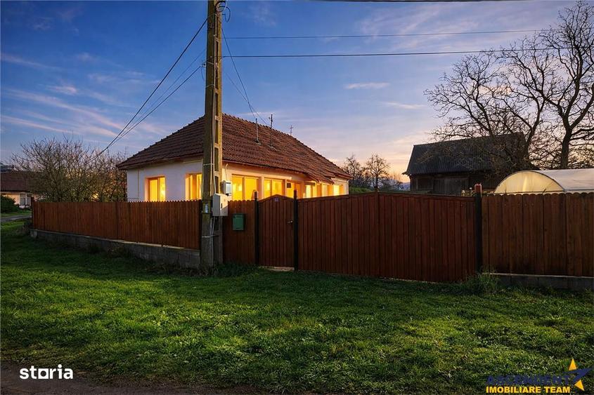 FILM! Casa cu sura, pivnita, balta cu pesti, 2.280 mp teren roditor, L - 16