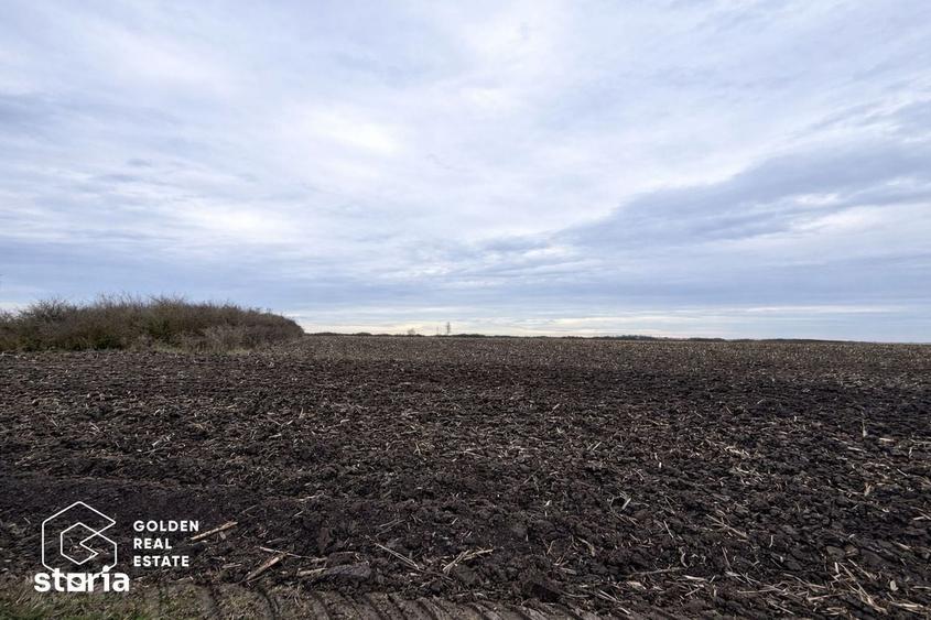 Teren de 17900 mp, în Sânmihaiu Român