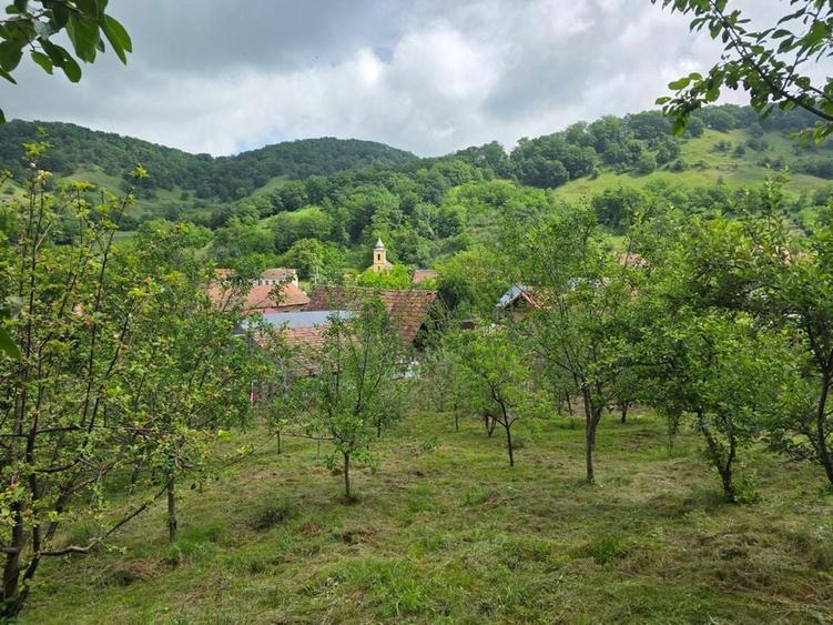 Casa de vanzare Salcau - 6