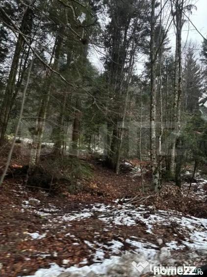 Teren de 4000 mp, în Calea Moroieni