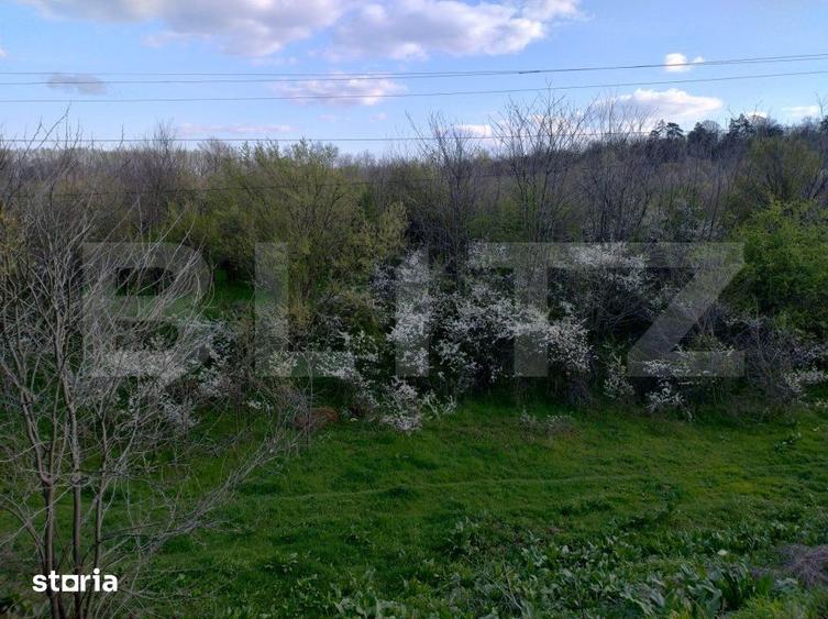 Teren de 99930 mp, în Breasta