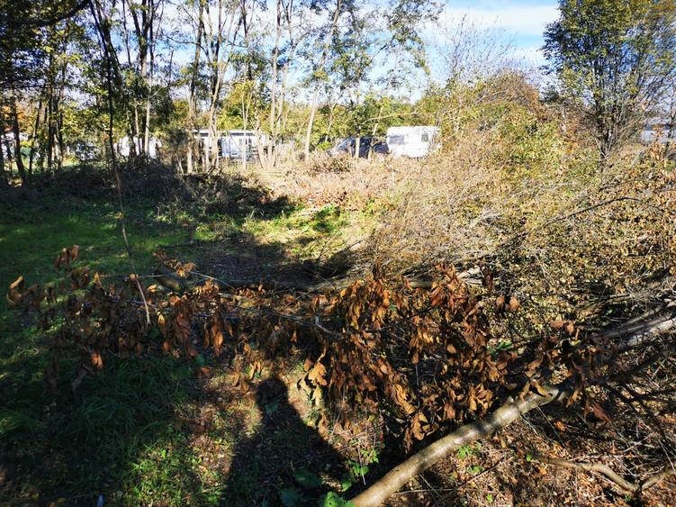 Casă individuală cu 2 camere cu Teren 2500 Mp în Gruiu
