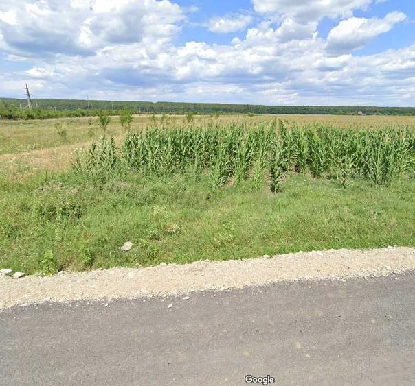Teren de 3200 mp, în Dragomirești