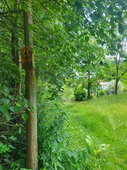 Teren Construcții intravilan de 3470 mp, în Valea Târsei