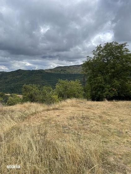 Vand teren, casa si grajd lemn Damis - 6