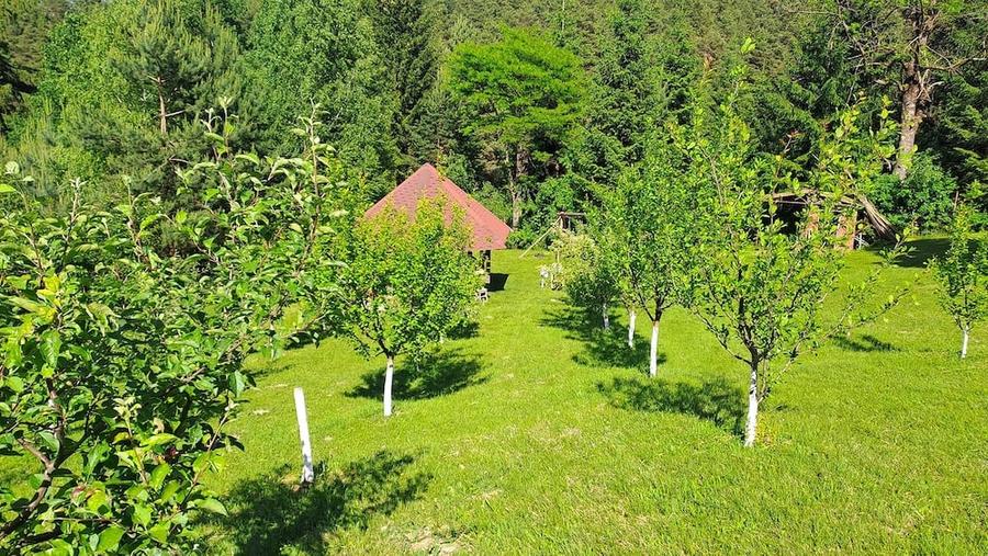 Teren de 2000 mp, în Central