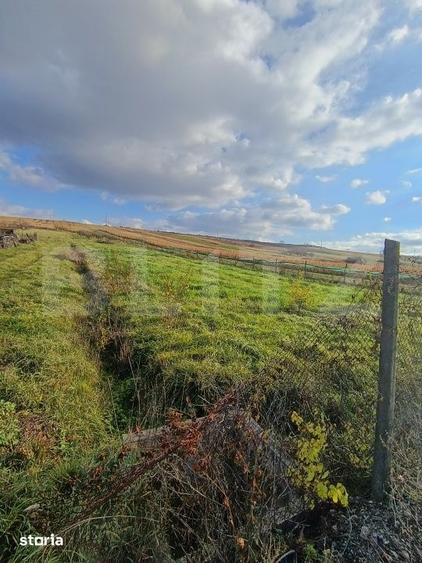 Teren de 7800 mp, în Central