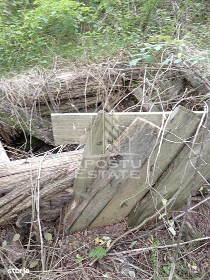 Teren de 3260 mp, în Buteni