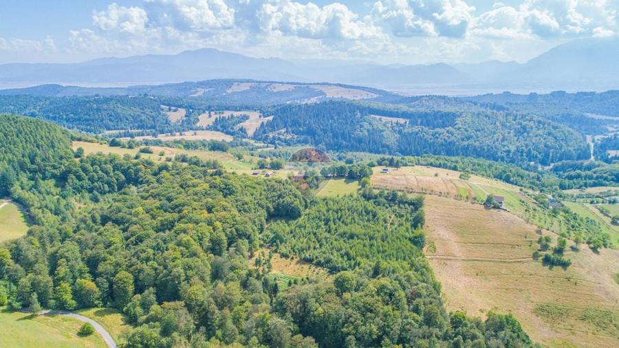 Teren agricol extravilan de 2053 mp, în Poiana Mărului