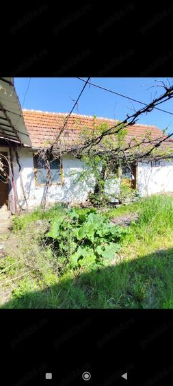 Casă cu Teren 1400 Mp în Voivodeni