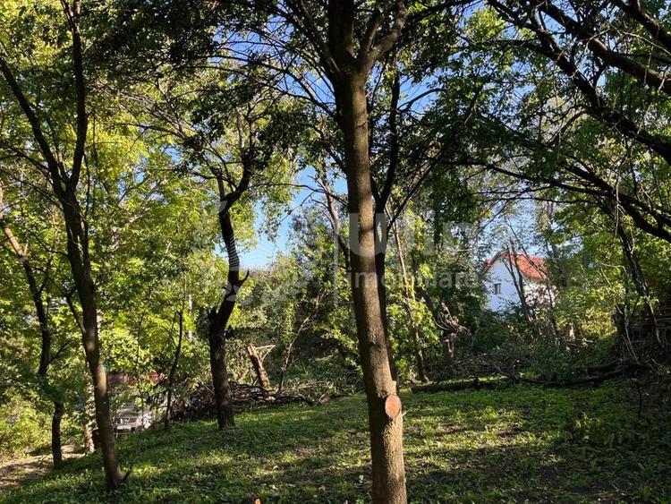 Teren Construcții intravilan de 2000 mp, în Gheorghieni